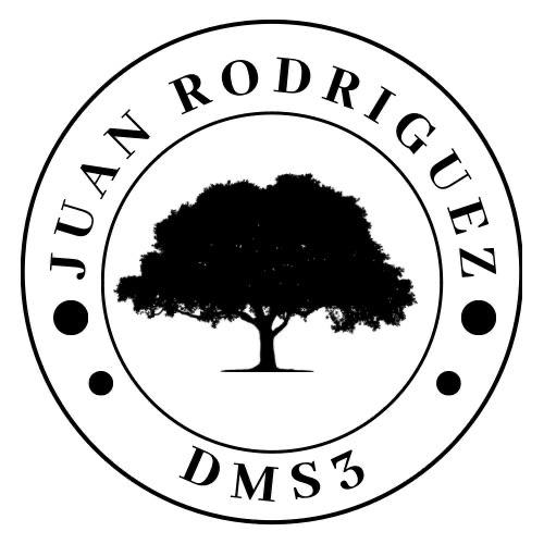 Juan Rodriguez DMS3 - Diseno de Madera